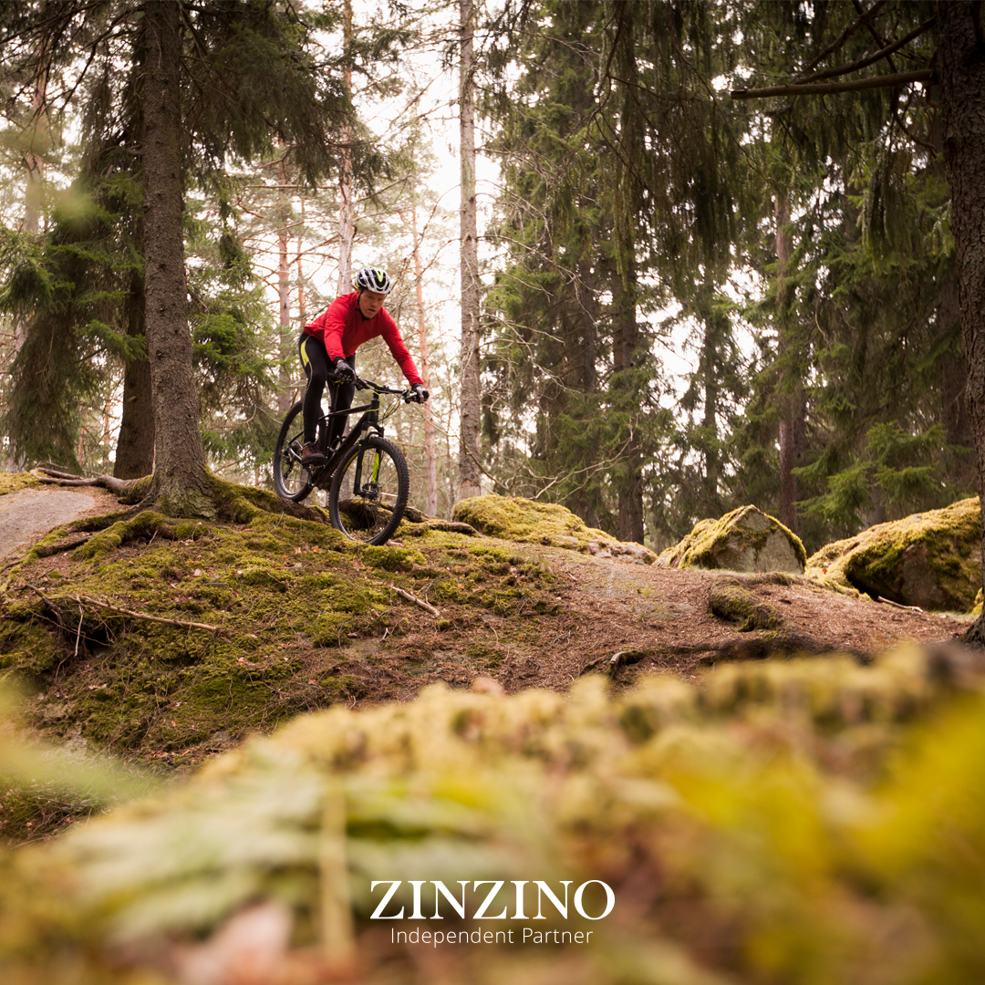 Inside Balance powered by Zinzino = Zdraví zevnitř